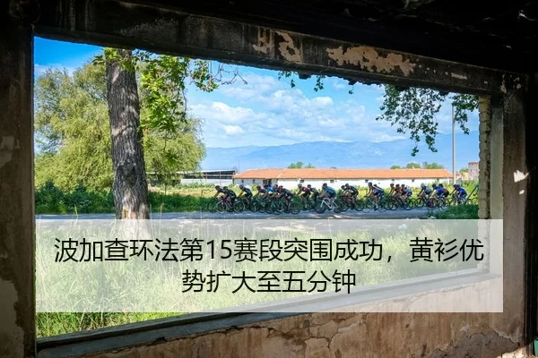 bo-jia-cha-huan-fa-di-sai-duan-tu-wei-cheng-gong-huang-shan-you-shi-kuo-da-zhi-wu-fen-zhong-3-979.jpg