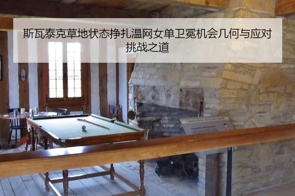 si-wa-tai-ke-cao-di-zhuang-tai-zheng-zha-wen-wang-nv-dan-wei-mian-ji-hui-ji-he-yu-ying-dui-tiao-zhan-zhi-dao-2-850.jpg