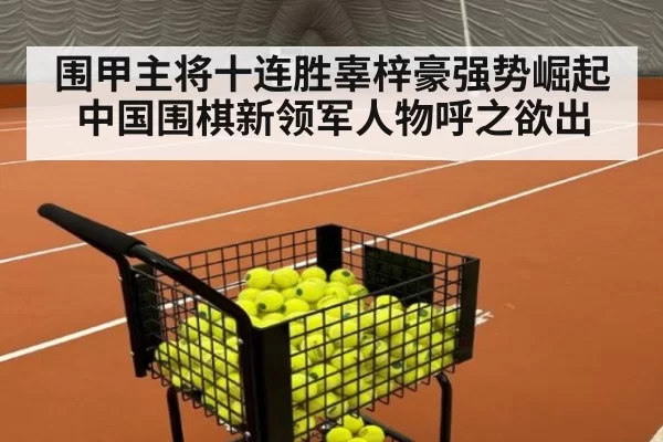 围甲主将十连胜辜梓豪强势崛起 中国围棋新领军人物呼之欲出